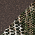 Realtree Edge/ Brown
