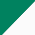 Kelly Green/ White
