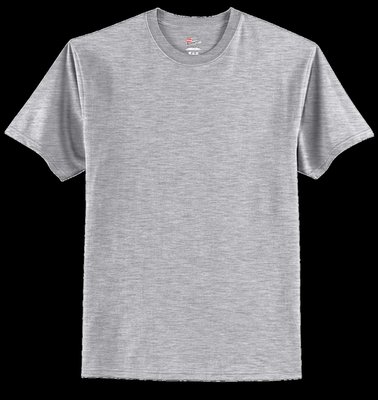 5250 Hanes Authentic 100% Cotton T-Shirt