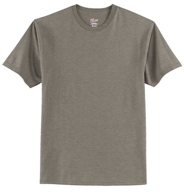 5250 Hanes Authentic 100% Cotton T-Shirt